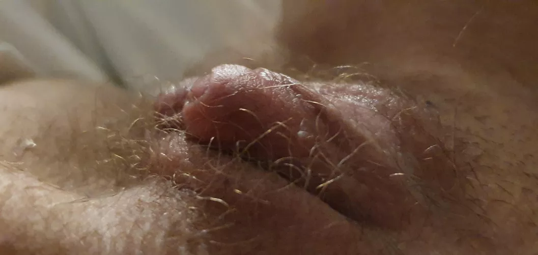 Please me by horneyyyt33n