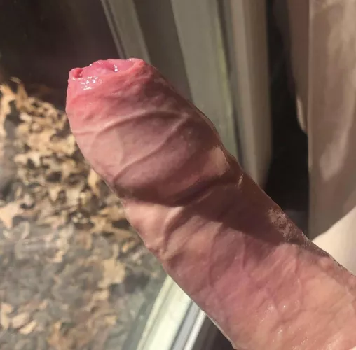 Please stare at it 😶 by LoveStressNconflict