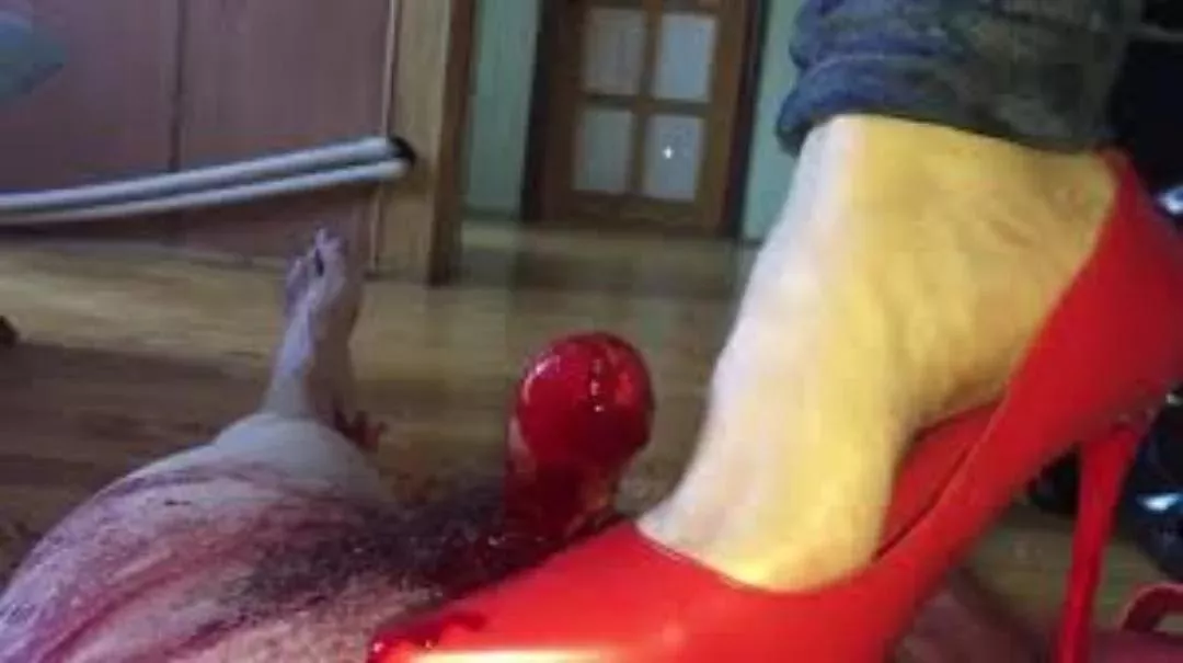 pls someone help me out with this video, where can I get it? posted by Annual_Session