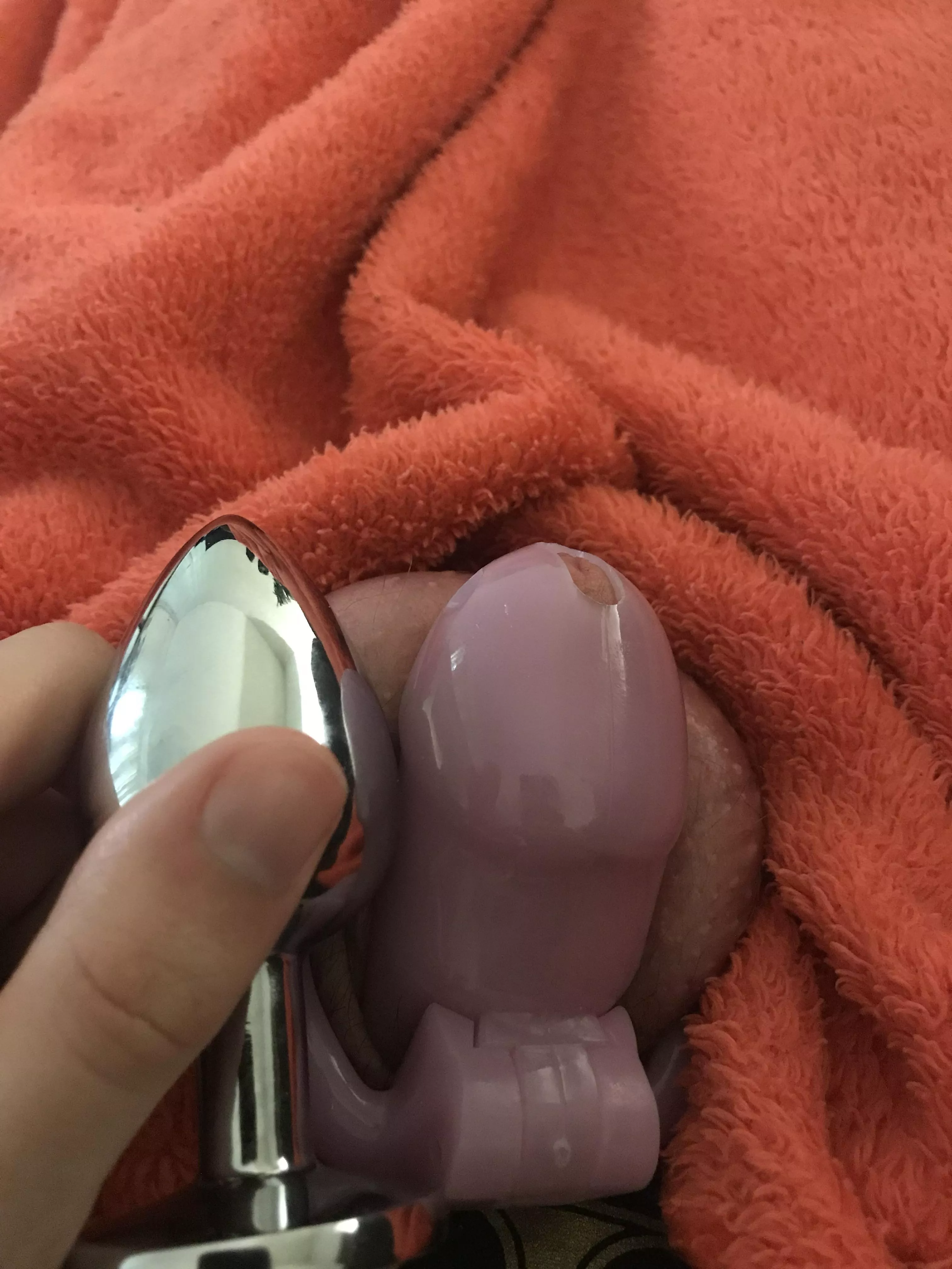 Plug vs my “dick” posted by Haileyy_Alexis