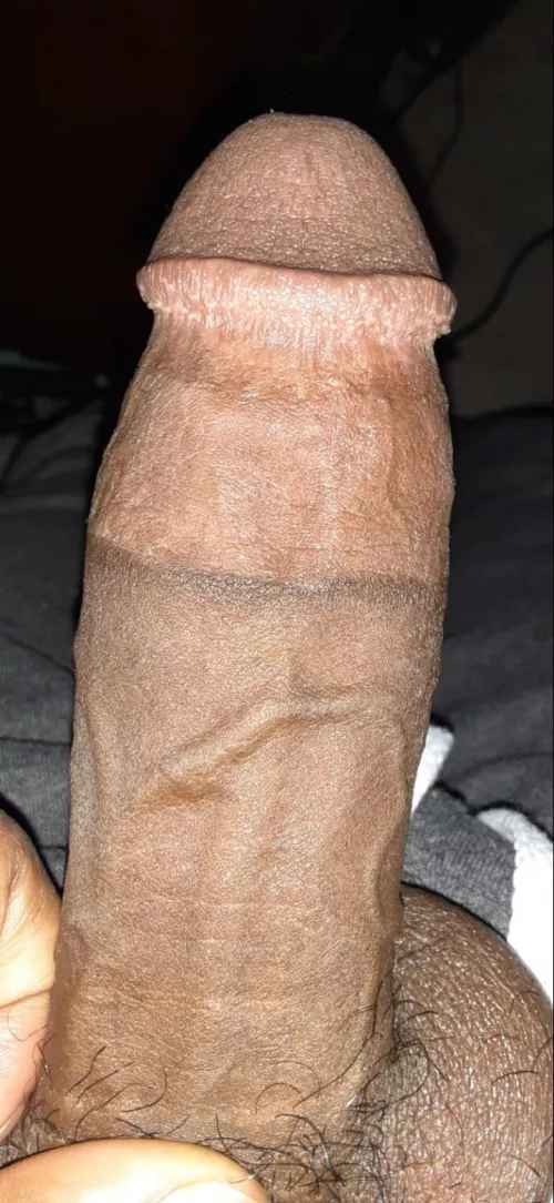 PMs are welcome by AssEnjoyerz