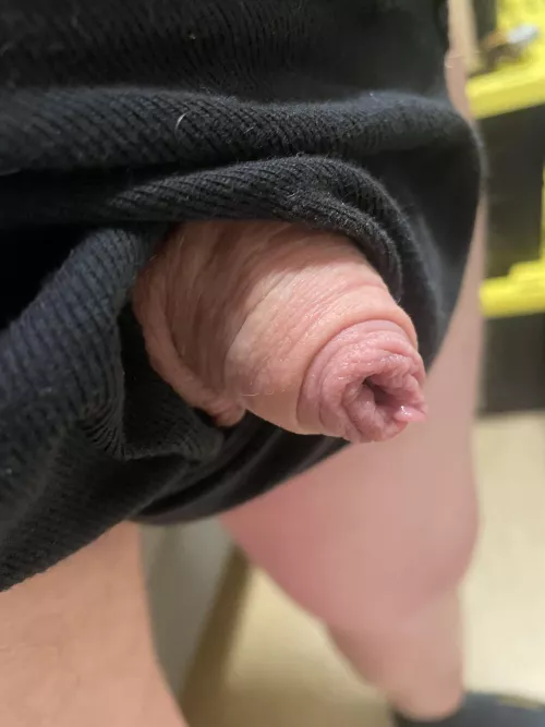 Poking out (40) by Friendly-Jacket-1793