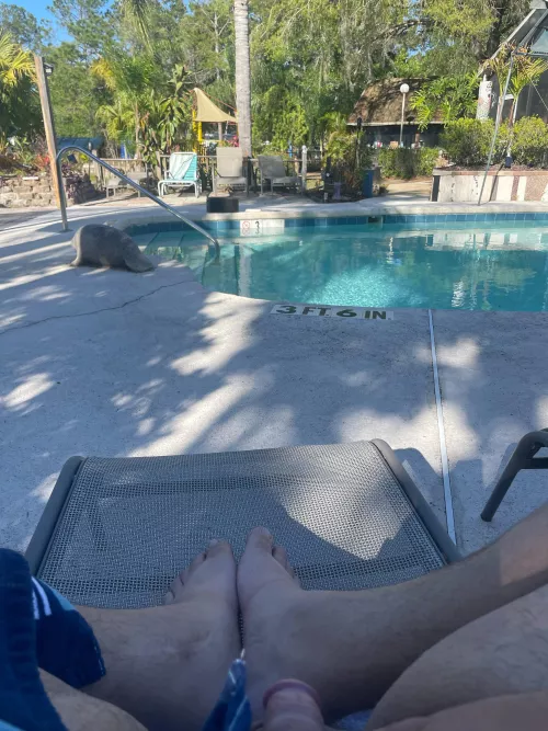 Pool side. The natural meeting spot. by PrestigiousDamage860