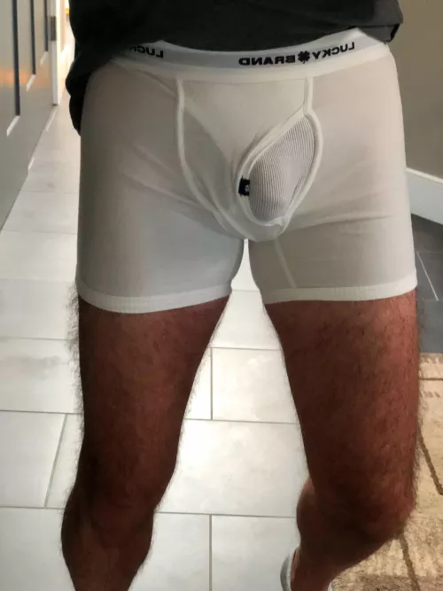 Popping through fly door by boston2881