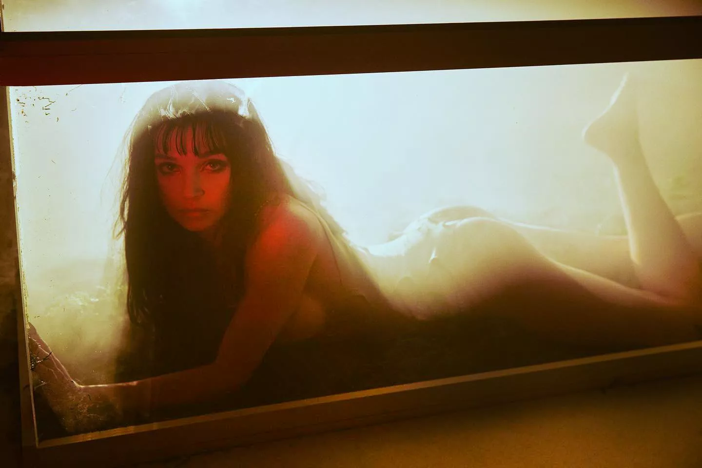 Poppy in a glass box posted by NoteSpecials