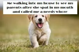 possibly based on true events [meme] posted by Stormer125