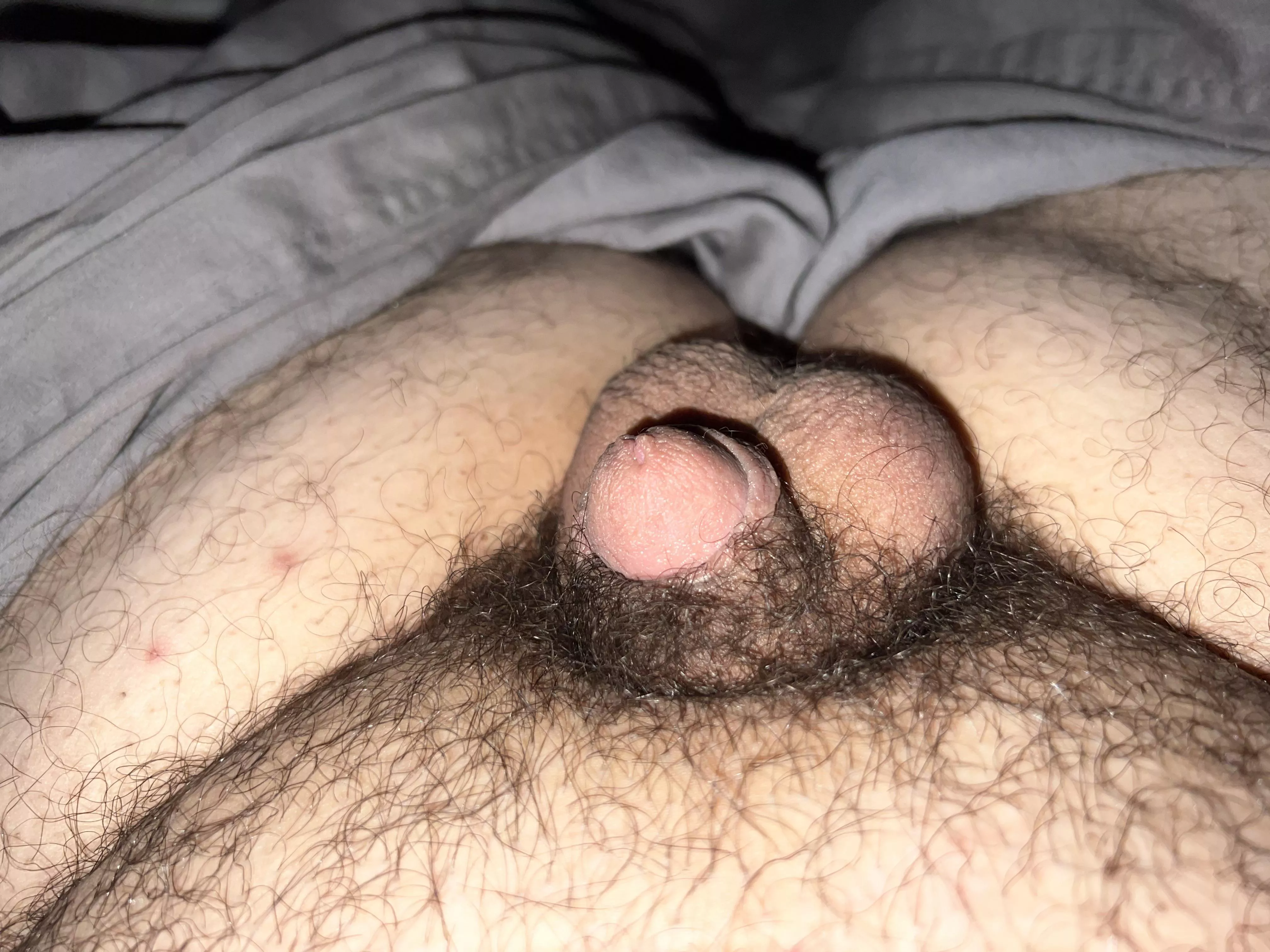 Post back to back [22] posted by BelonyBob