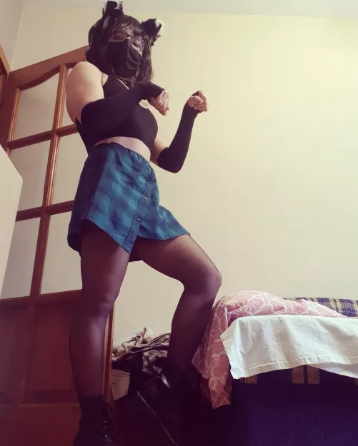 POV: A wild catboy is in your room. What you gonna do? 🤔 by CuteLittleBoi