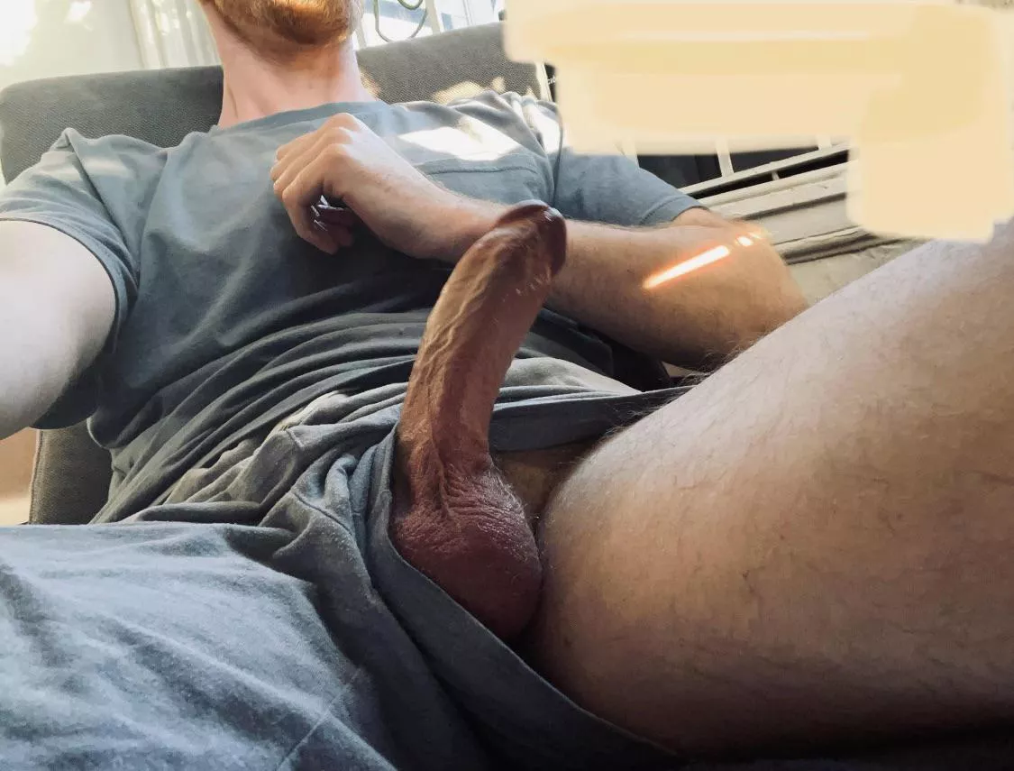 POV: Can you relieve some stress during an important video meeting? posted by theNaked_BeardedChef