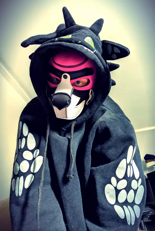 pov I just pounced on you🙃🐶🐶 by trytry243