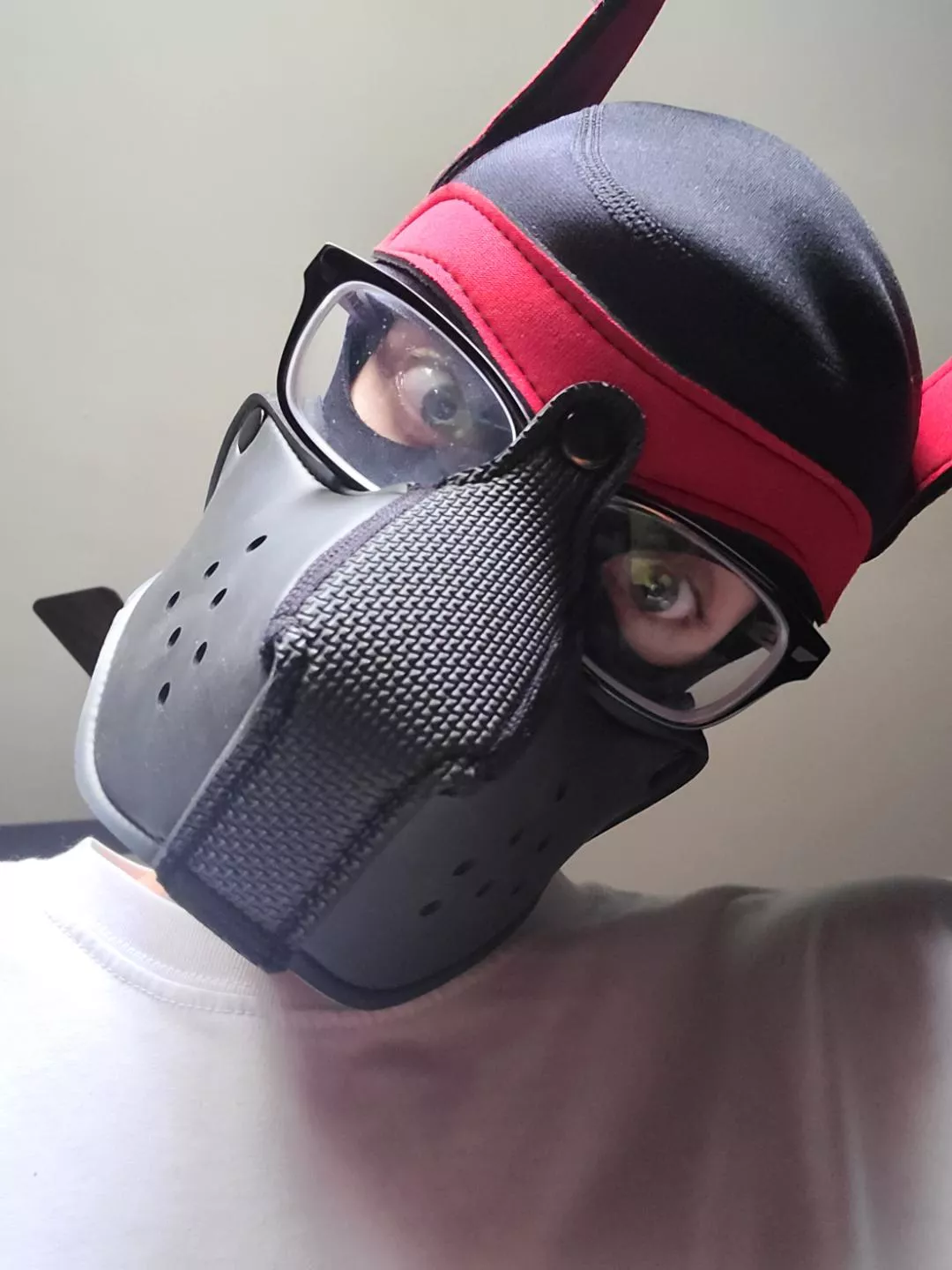 POV i pounced on you 🐶 posted by VoxSilvaIsGay