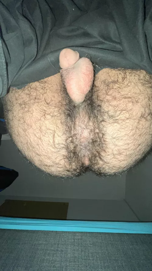 POV I sit on your face by Gayfuckdoll