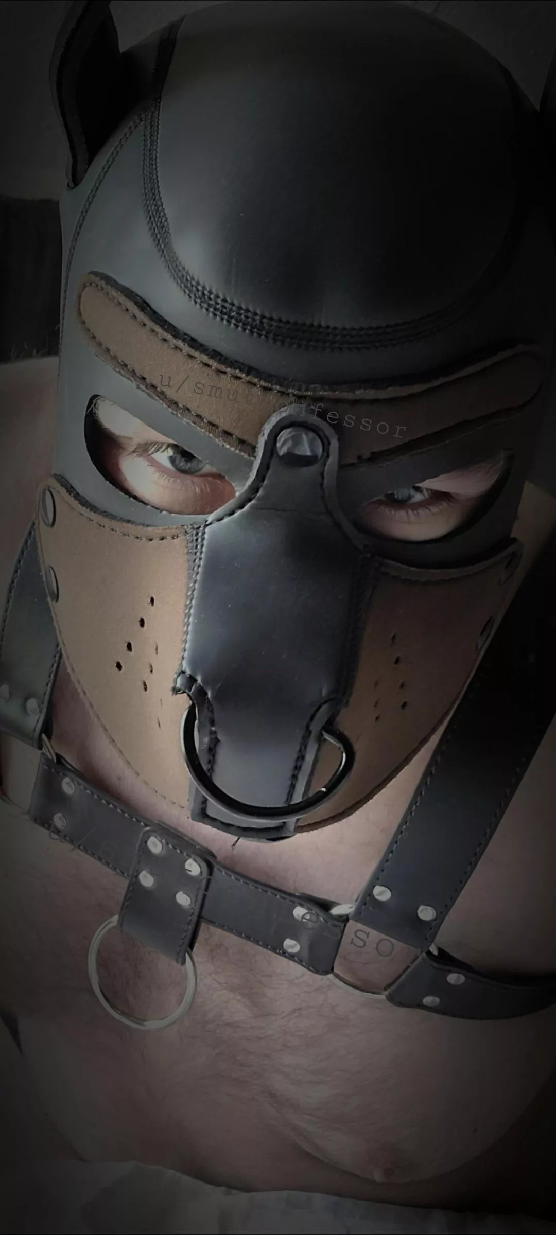 POV: You just got tackled. Wuff! posted by SmutConfessor