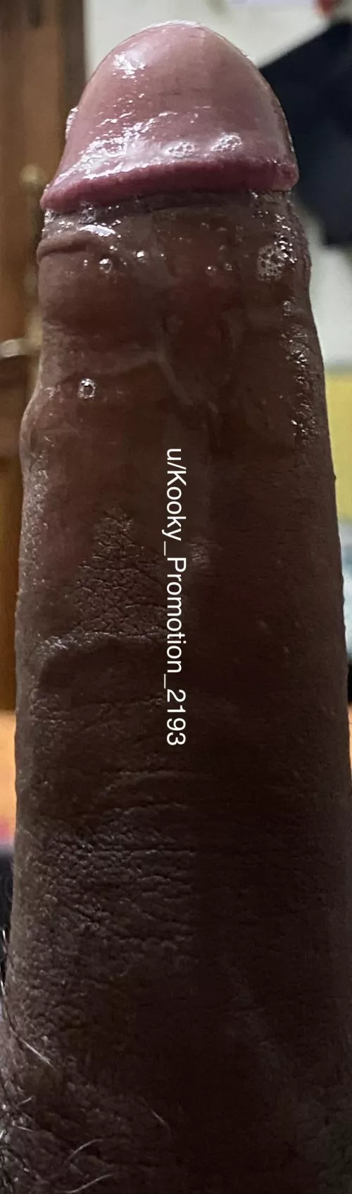 Precum is the best lube period by Kooky_Promotion_2193