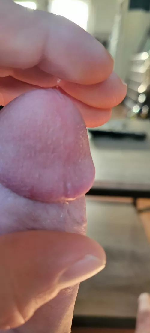 precumming like a faucet by gentlemanjim84