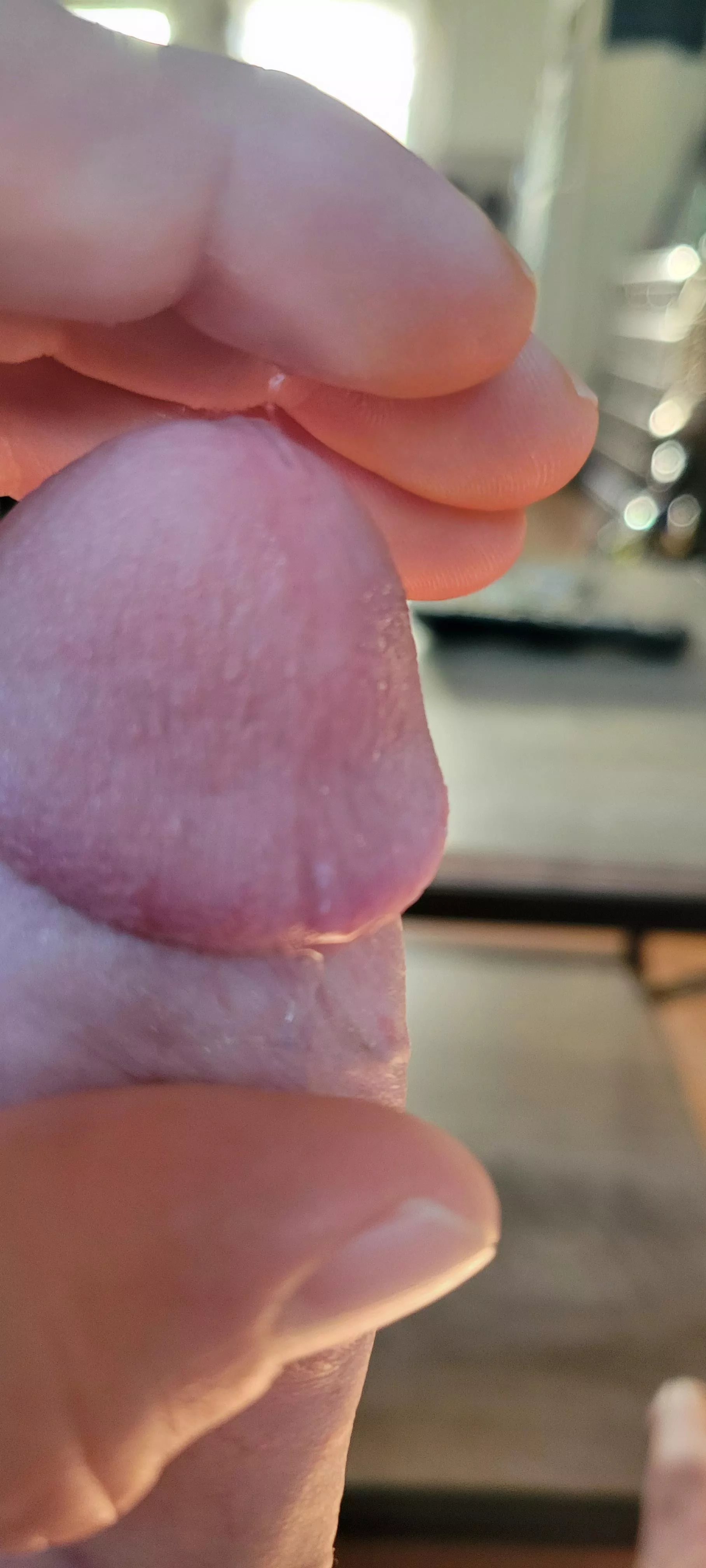 precumming like a faucet posted by gentlemanjim84