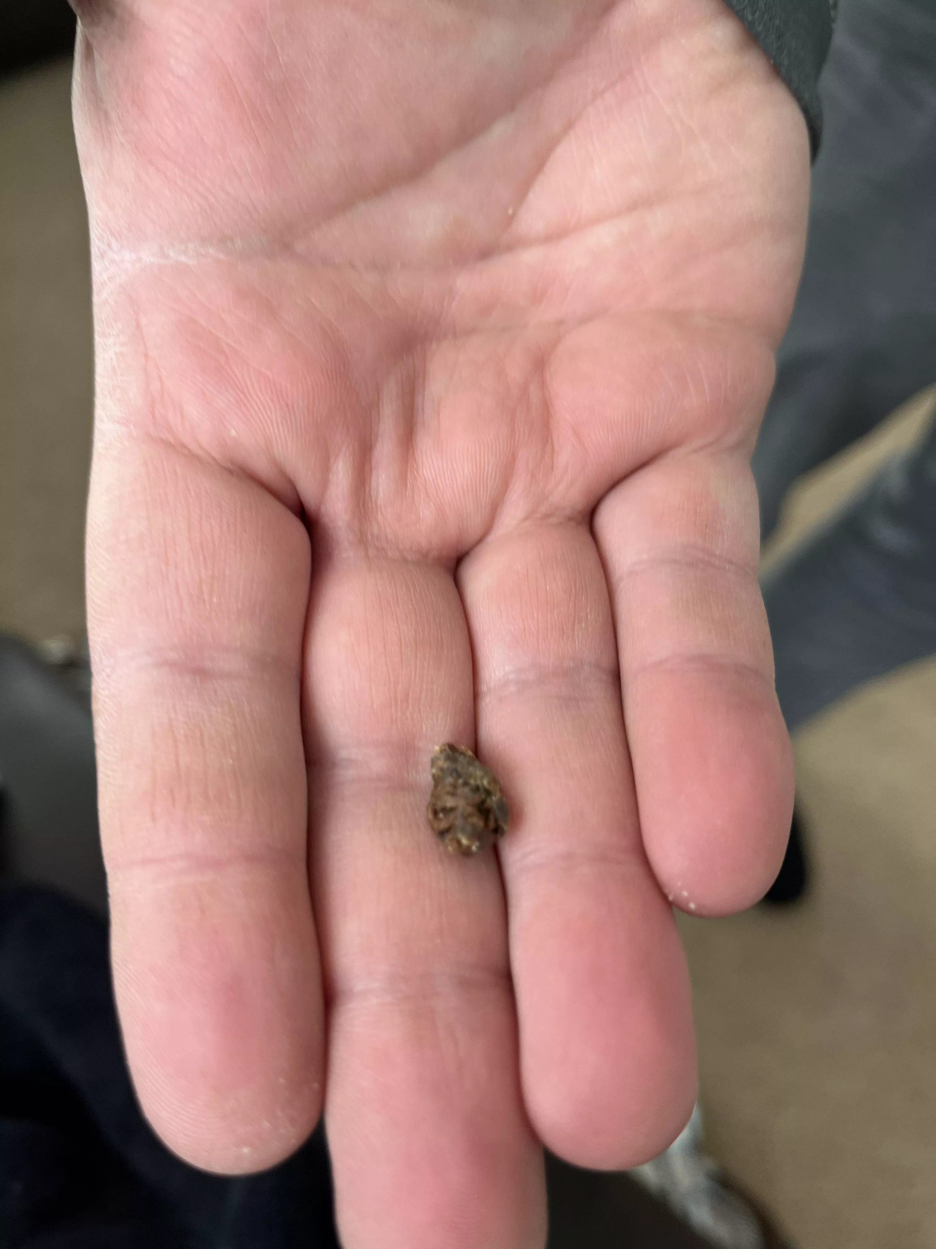 Presenting an ear raisin from my significant other who now has the ability to hear colors posted by imtheshiznit