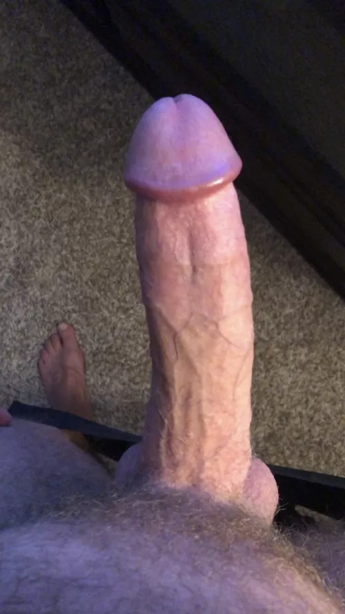 Pretty by fermisparadox1