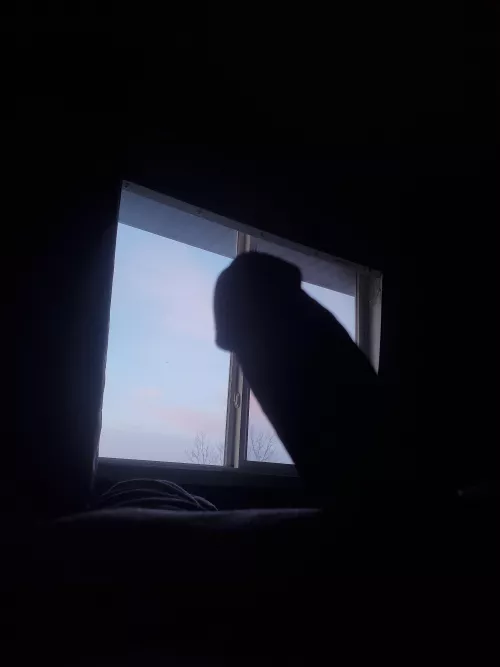 pretty blue sky and (M)orning wood by RockinRodd