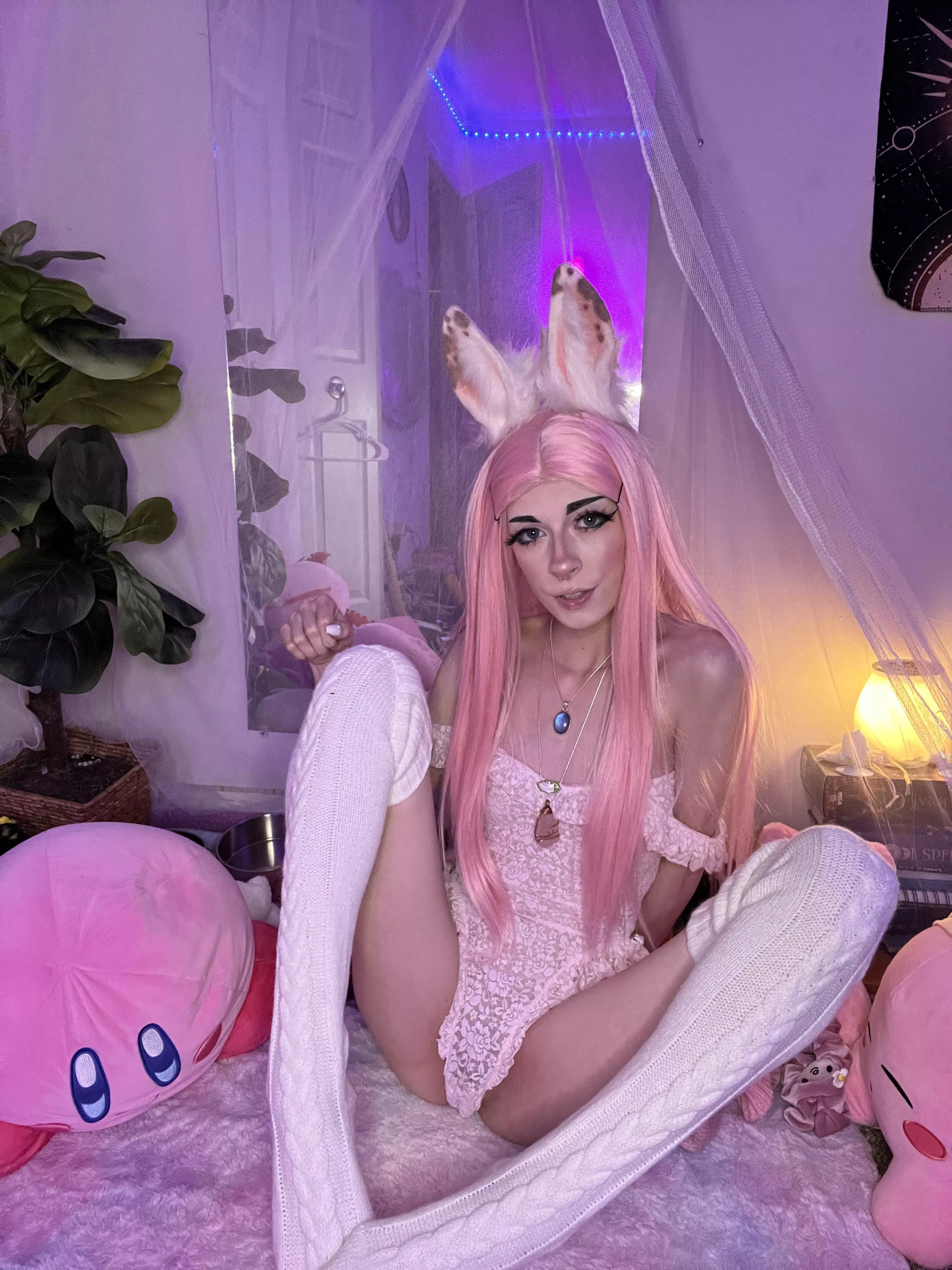 Pretty bunny don’t you think? posted by Xenobeanx