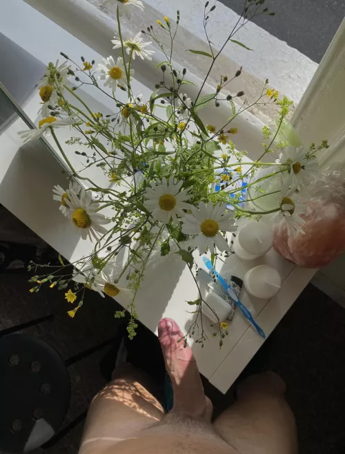 pretty dick pretty flowers? by zefji