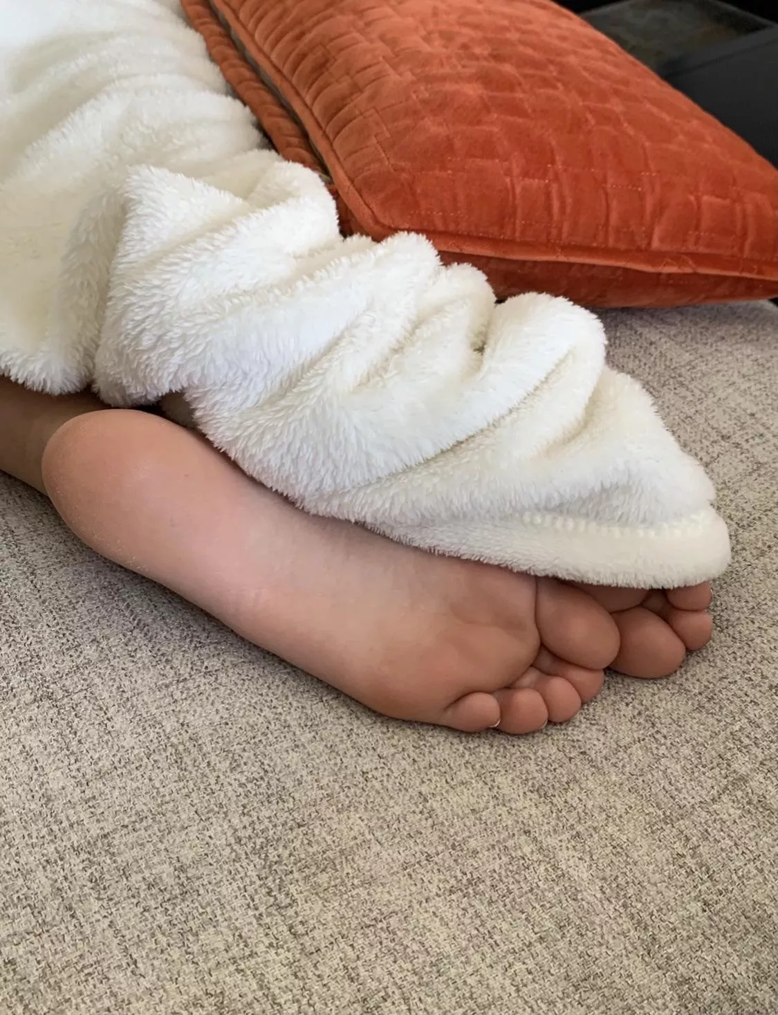 Pretty pink paws posted by cameroncummings