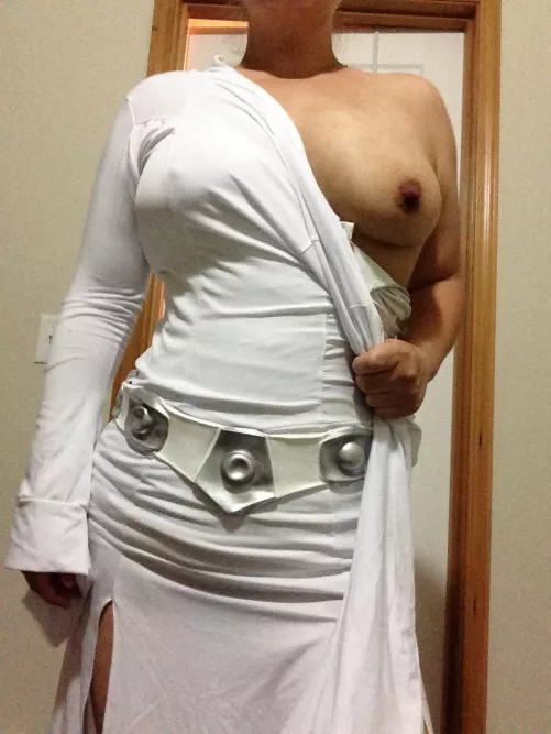Princess Leia (pnwwife79) by Pnwwife79