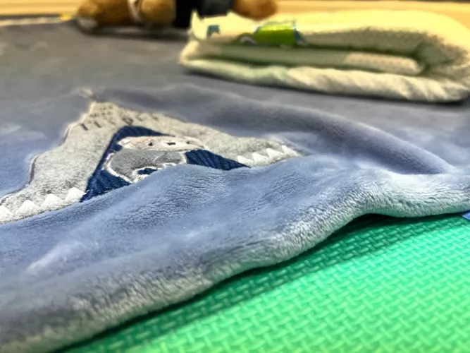 Pro tip: Want a discrete, portable way to feel little? Get a nice baby blanket. by uftone1