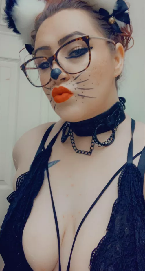 Promiscuous Kitten 🐾 by Puzzleheaded_Two1430