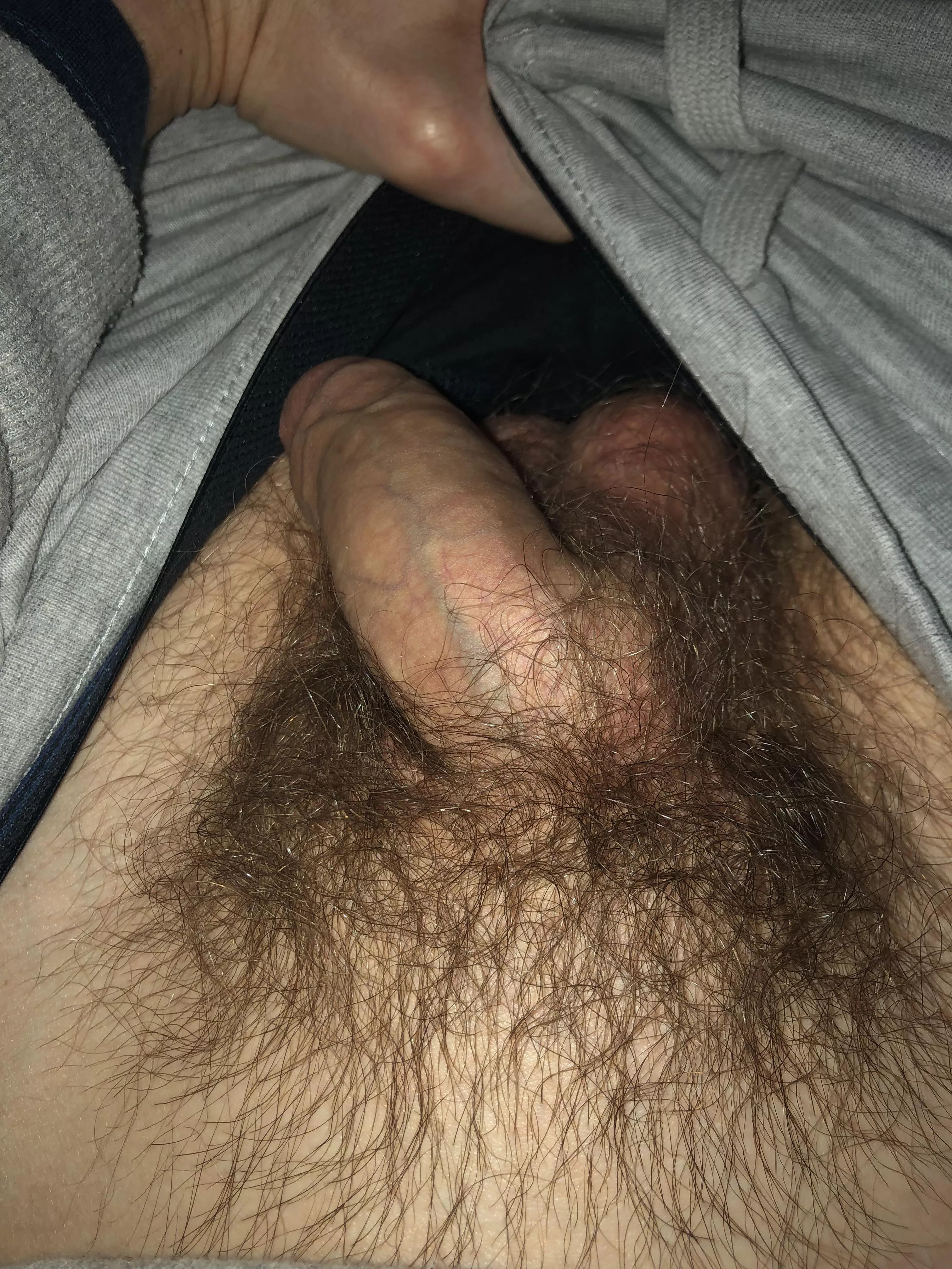 pube-y posted by safari7261