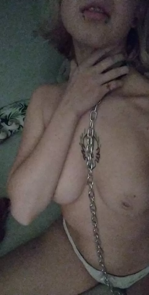 pull my chain and breed me daddy 🥺 [F] posted by Lili_the_freaky_girl