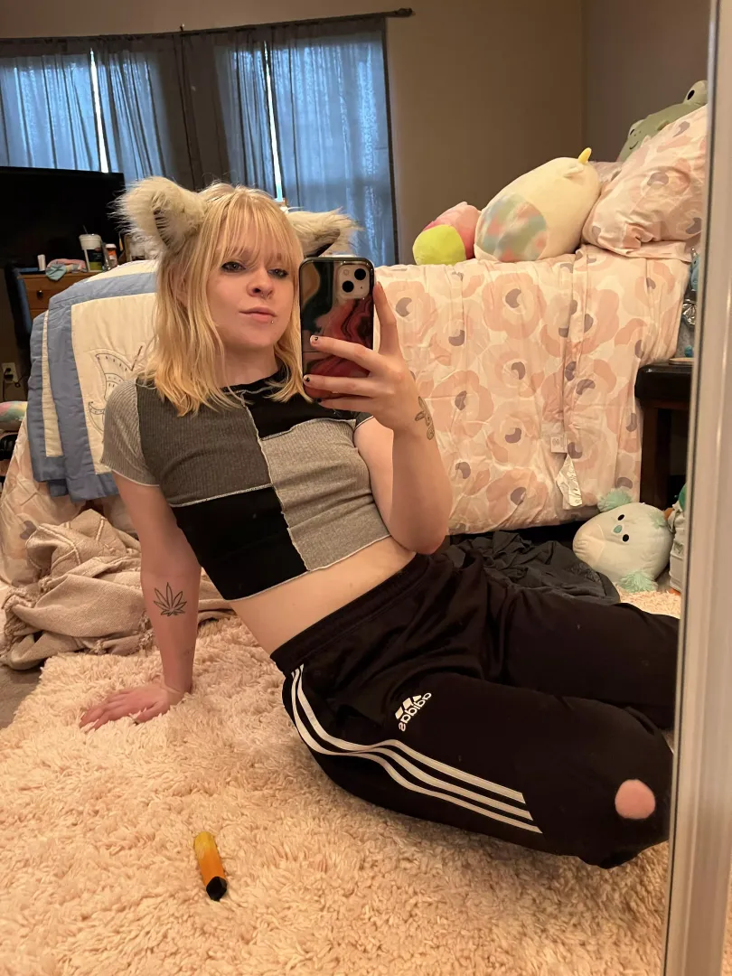pulled out the kitty ears today 🐱 posted by cannakr1s