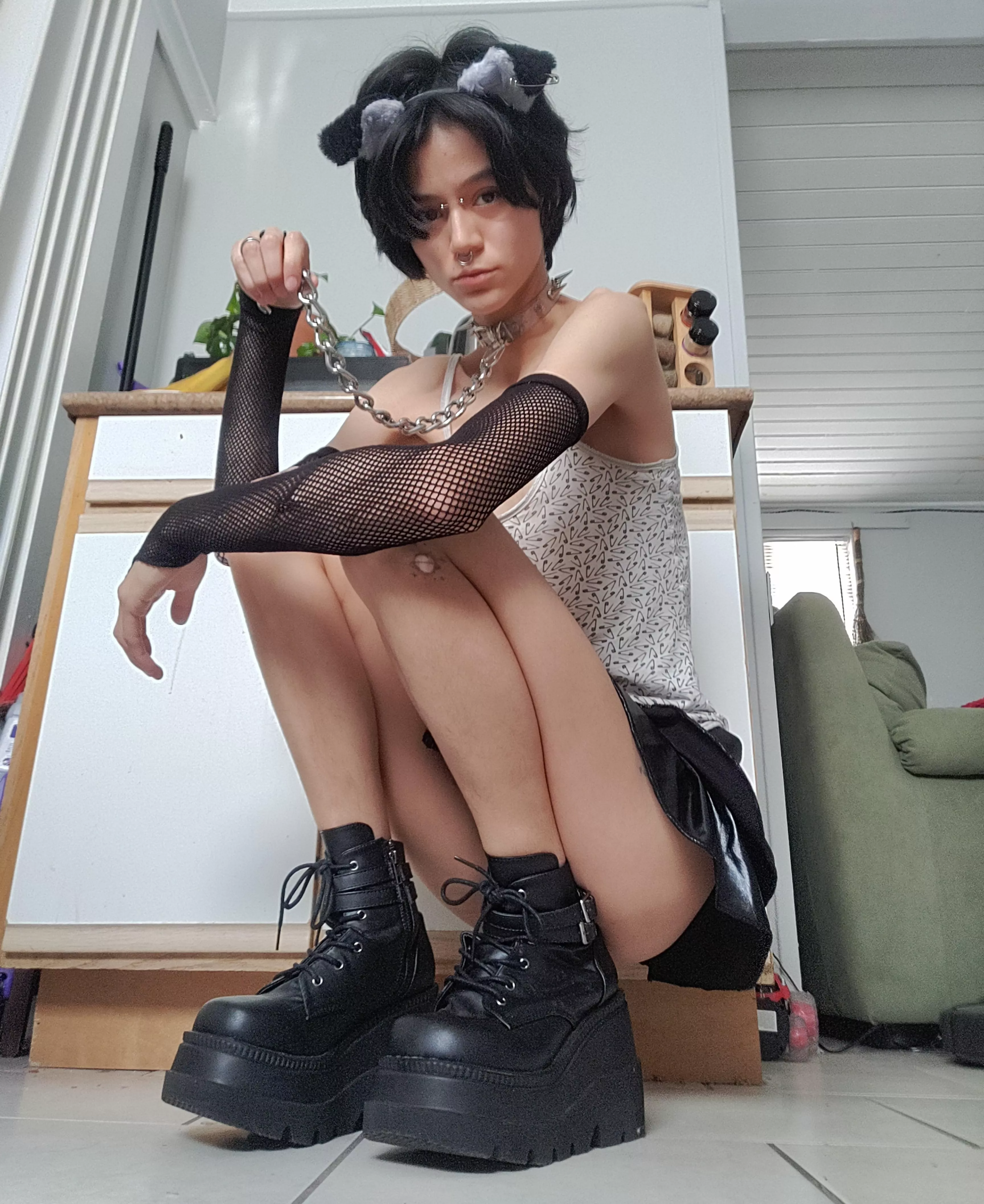 Punk little pup 🐾💕 posted by chemicalconjob