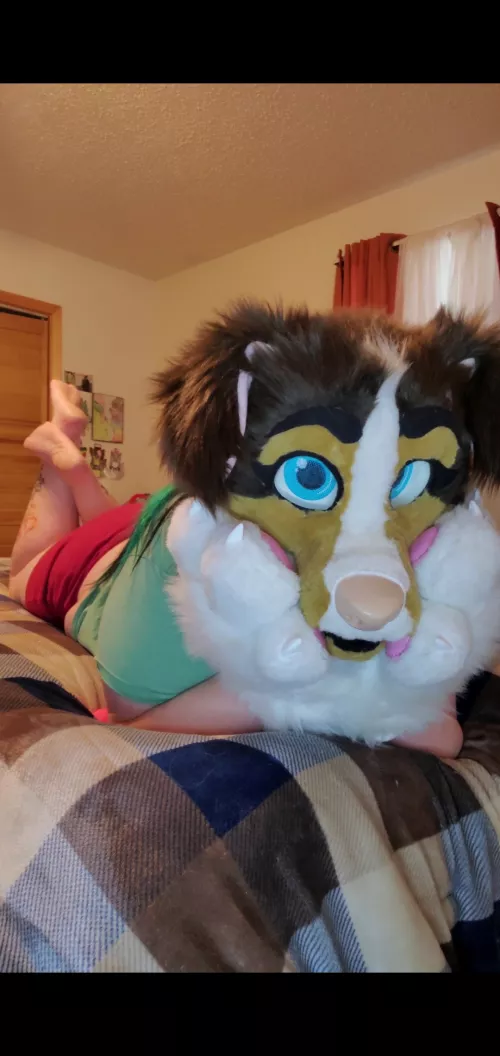 pup enjoys bedtime stories. 🌙 read me a good one♡ by SkyLovesKai