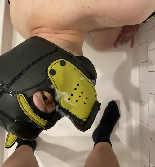 Pup finally serviced his first bone in his hood! I got some yummy treats!! by weinersz