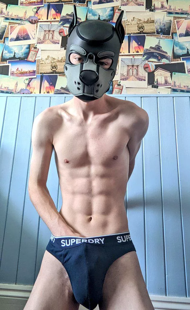 Pup found a bone! Does anyone want to help me dig it up? posted by Irksome_Boy