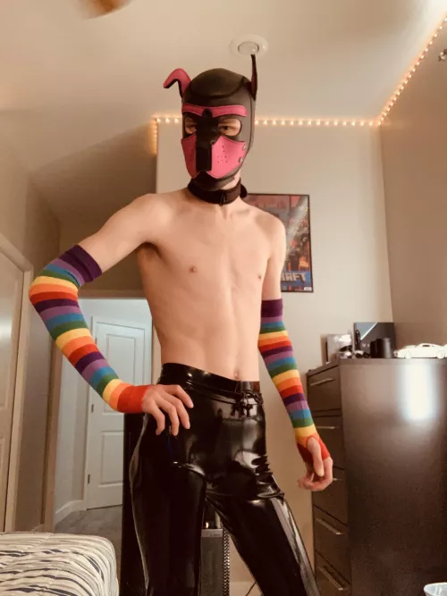Pup hood? Check. Latex? Check by PandaRX8