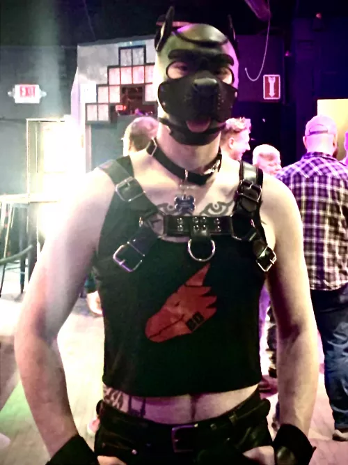 Pup in Minneapolis by sunlight4life