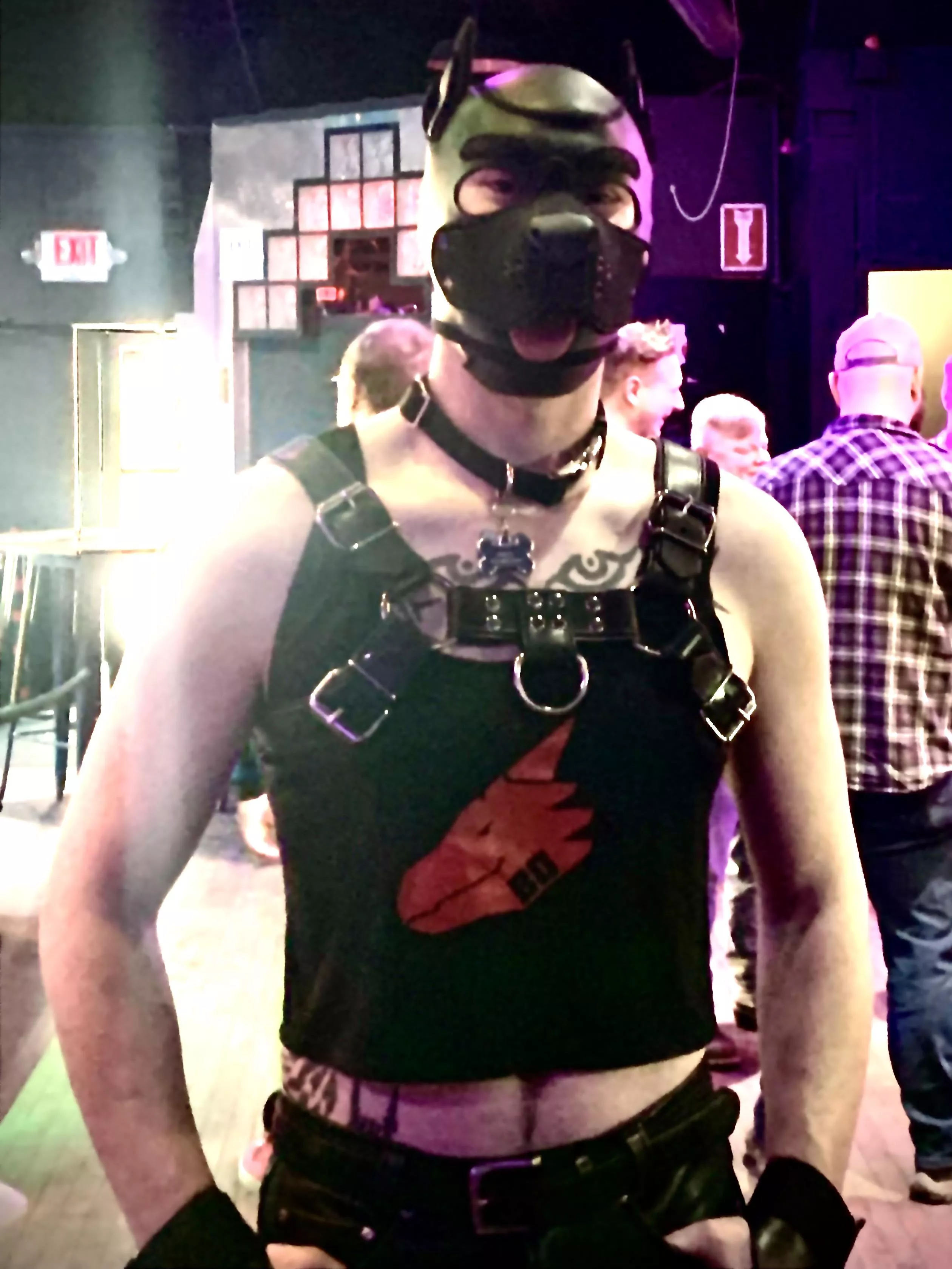 Pup in Minneapolis posted by sunlight4life