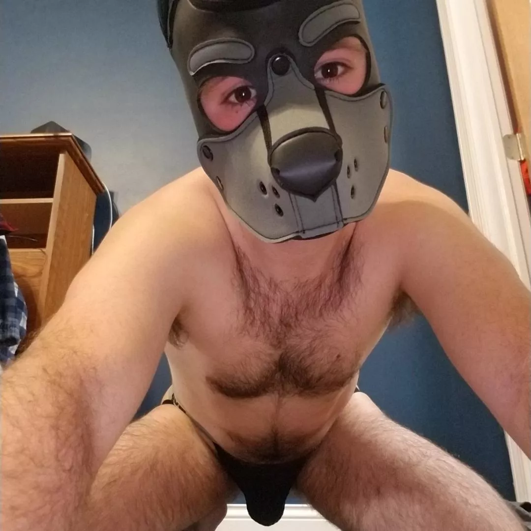 pup just needs an Alpha😈 posted by bicurious1516