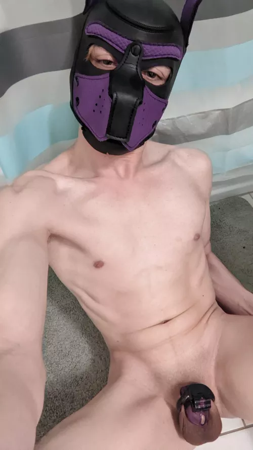 Pup Scout is locked and ready to play! 🐾🔒 by thescoutisout