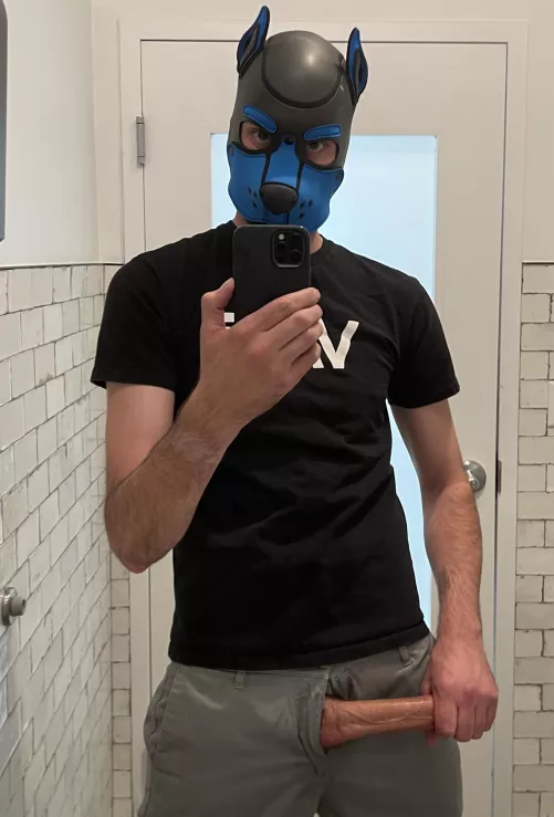 Pupper wants to give YOU a bone 🦴 by Ok-Pride-8503