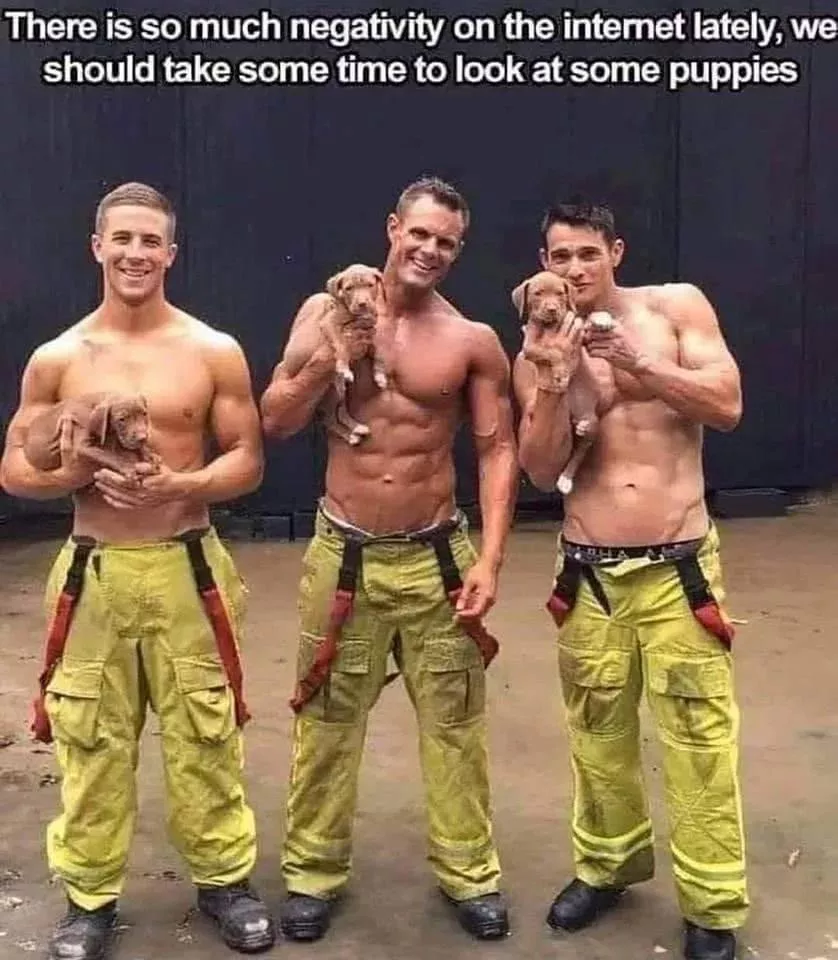 Puppies! posted by bighungdaddy