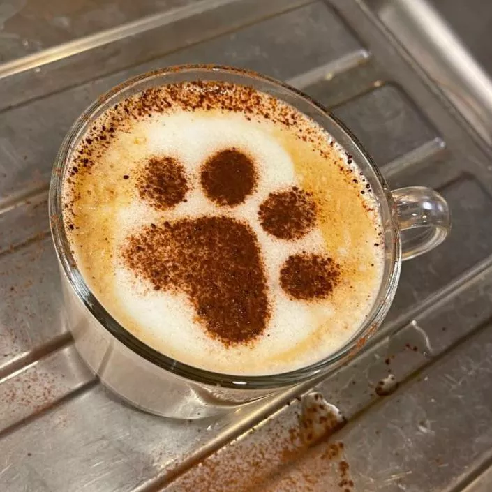 Puppuccino anyone? ☕️ posted by BitingBuzzer