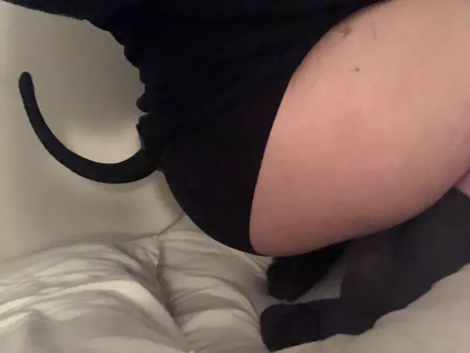 puppy butt 🐾 by bunniepupp