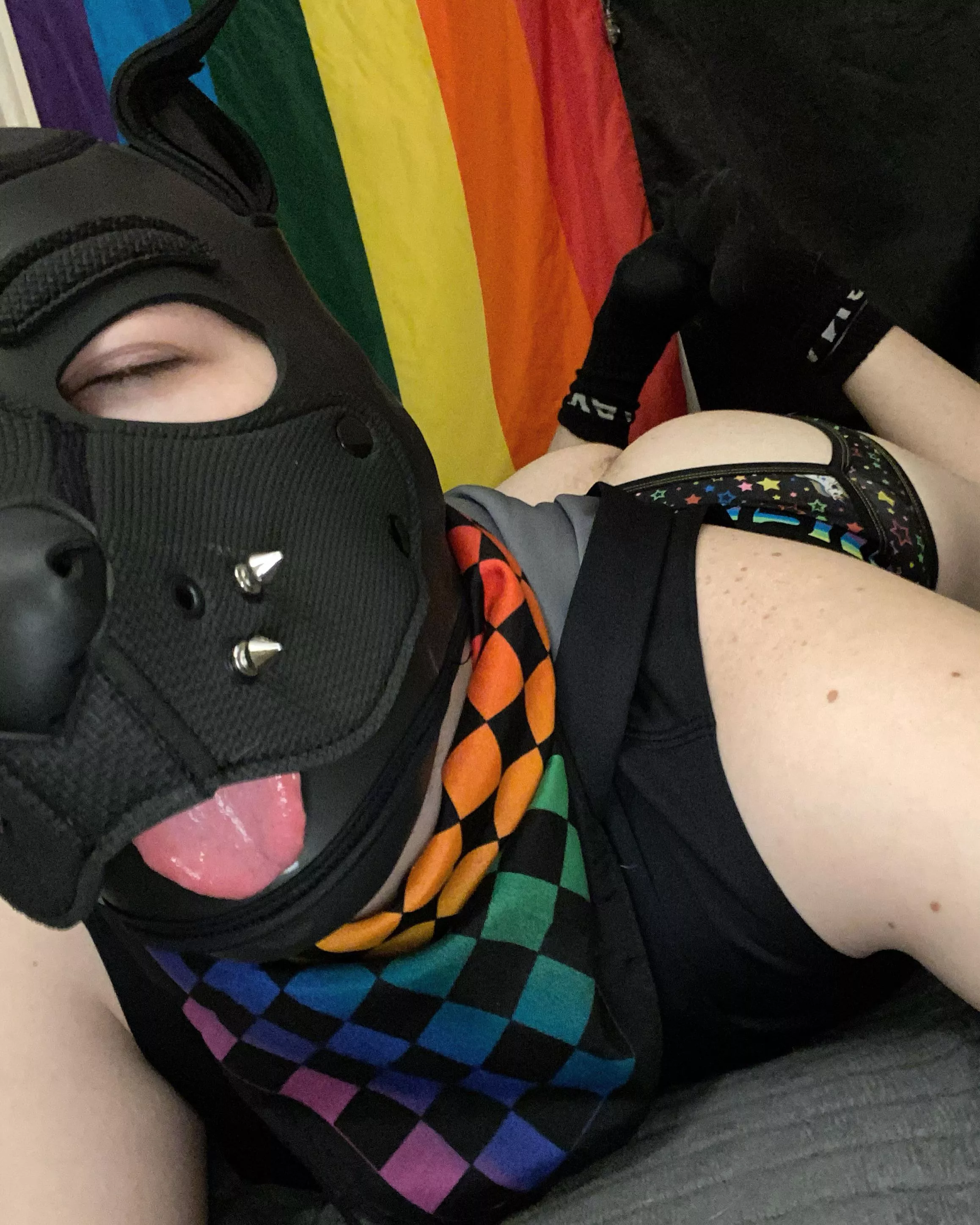 Puppy Butt!! posted by Zestyclose_Voice_605