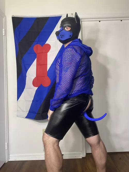 Puppy has a tail awoooo by Locked_Bleu