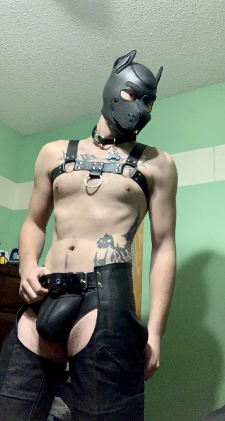 Puppy in chaps? Yes! posted by sunlight4life