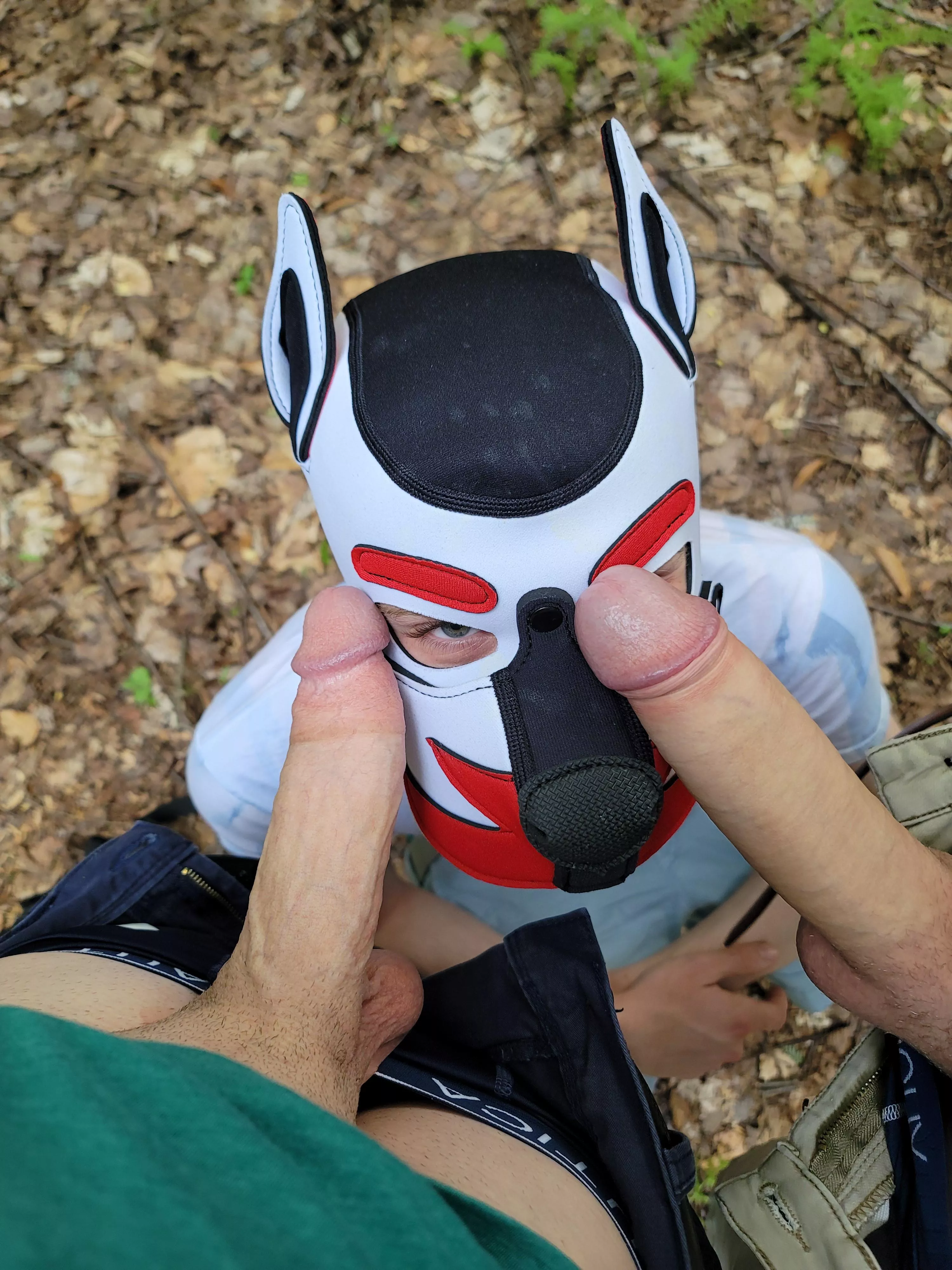 puppy loves his bones😏 posted by Ryansnow2552