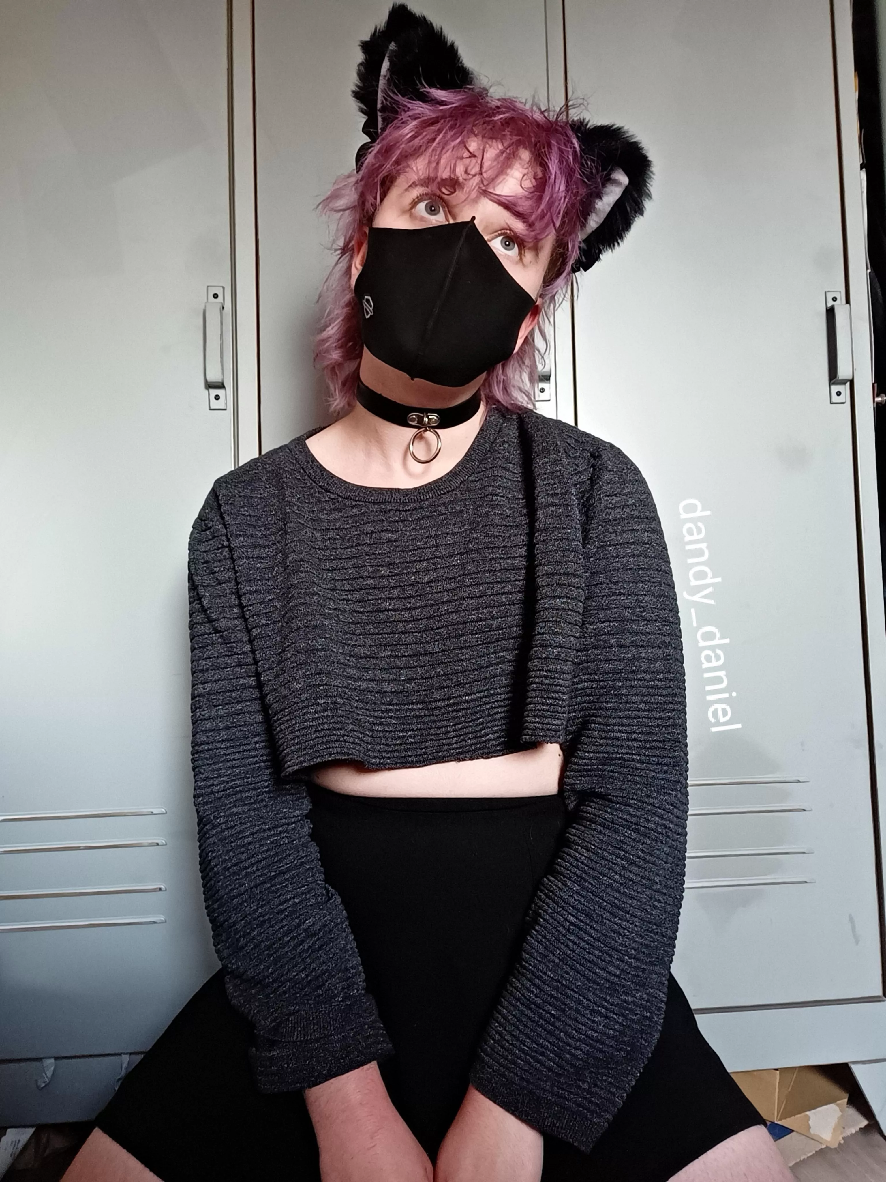 puppy posting 👉🏻👈🏻 posted by dandy_daniel